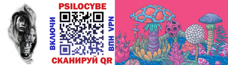 Галлюциногенные грибы Magic Shrooms  Купить где  Верхняя Тура 